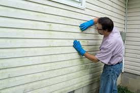 Best Wood Siding Installation  in Pascagoula, MS